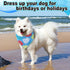 Aliceset 180 Summer Pcs Pet Dog Bandana Bulk Fruit Bandanas for Dogs Adjustable Washable Tropical Pet Triangle Scarf