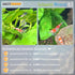 8,5 (230g) Sulawesi Minerals and Trace Elements Cardinal Shrimp Tank
