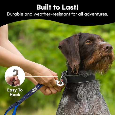 Black Rhino Heavy Duty Dog Leash for Medium and Large Dogs, 5 ft Long Double Handle with Padded Traffic Control