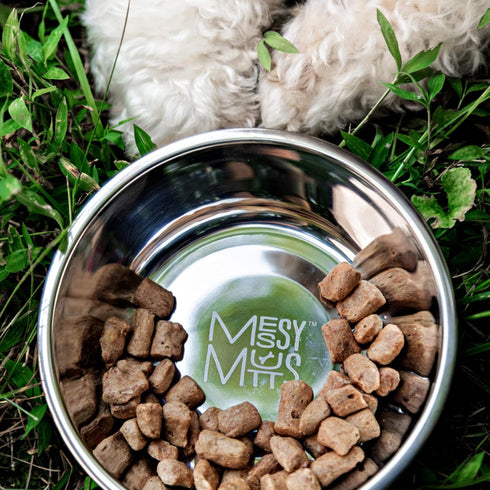 Messy Mutts Stainless Steel Heavy Gauge Bowl, Non-Slip Removable Silicone Base, Medium, 2.5 Cups, Warm Grey