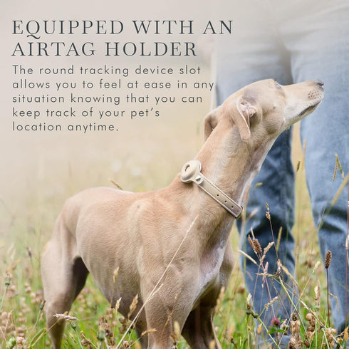 Cupertino Dog Collars, Harnesses & Leashes, Adjustable Dog Collar Made from Vegan Leather with Dog Tracker Device
