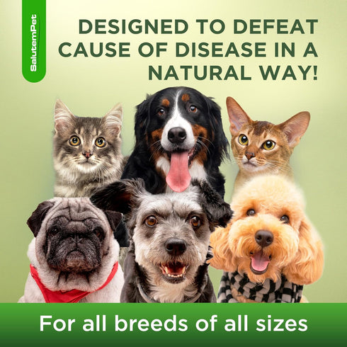Dog Cough | Cat Cough Relief | Cough Supplements for Dogs and Cats, 2 Oz
