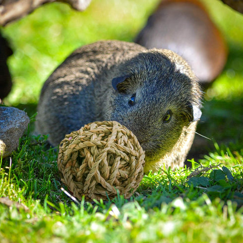 8 Pcs Small Animals Play Balls - Rolling Activity Chew Toys for Rabbits Guinea Pigs Chinchilla Bunny Natural Balls