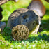 8 Pcs Small Animals Play Balls - Rolling Activity Chew Toys for Rabbits Guinea Pigs Chinchilla Bunny Natural Balls
