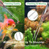 4Pcs Aquascaping Tools Kit, Long and Strong Aquarium Tweezers, Scissors, Algae Scraper, Plant Trimming Kit for