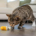 Catstages Petstages Dental Banana Catnip Cat Chew Toy