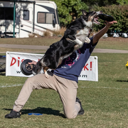 Hyperflite Pup Jawz Dog Flying Disc, World's Toughest Canine Competition-Approved, 7 Inch, Black