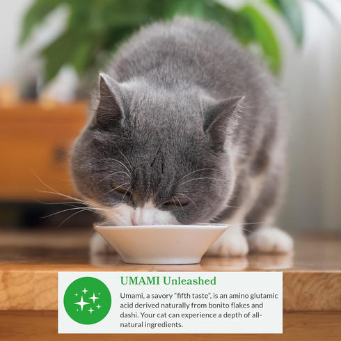 INABA Dashi Delights for Cats, Shredded Chicken with Bonito Flake Broth, 2.5 oz Cup, 6 Cups Total