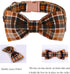 Lionet Paws Halloween Dog Collar with Bowtie, Adjustable Cotton Fall Bowtie Collar for Small Medium Dogs