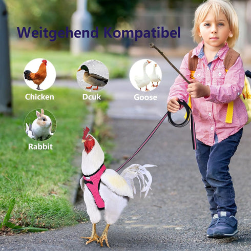 Chicken Harness Hen Size with 6ft Matching Leash - Adjustable, Comfortable, Breathable, Pink