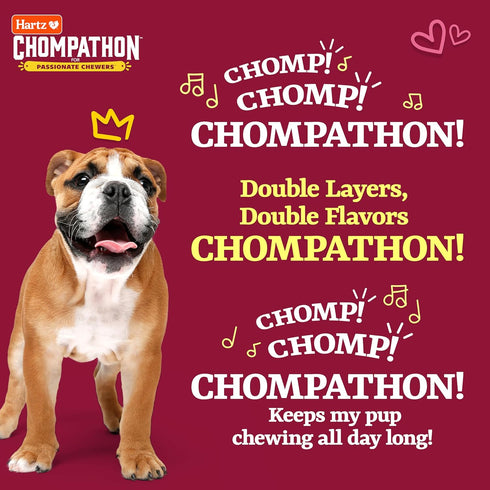 Hartz New Chompathon Gripper Bone Dog Chew Toy - Double Layered Flavored with Chicken & Bacon for Aggressive Chewers