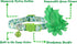 BoomBone Cat Flower Collar for St Patricks Day, Breakaway Puppy Charms, Irish Pet Accessories