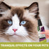 Recommended 8 oz Holistic Natural Derived Calming Pet Spray for Anxiety: Providing Stress Relief: Veterinarian - Made