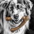 Pet Qwerks Wishbone BarkBone - Nylon Chew Toy for Aggressive Chewers - Bacon Flavor - 6.75"