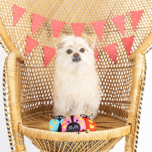 Fringe Studio Plush Dog Toy Set - Buggy for You, Small 3 Piece, Pet Shop Collection