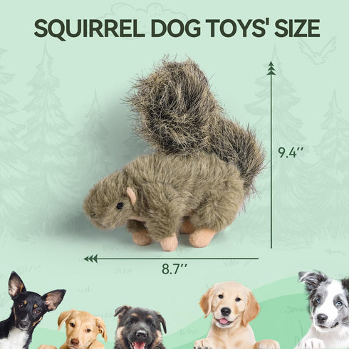 ALL FOR PAWS Interactive Dog Squirrel Plush Squeaky Toy, Perfect Puppy Enrichment Toy, Large