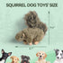 ALL FOR PAWS Interactive Dog Squirrel Plush Squeaky Toy, Perfect Puppy Enrichment Toy, Large
