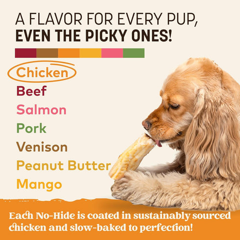 6 Count Earth Animal No Hide Chews - Long Lasting Rawhide Free Small Dog Chews Rolls, Chicken