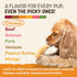 6 Count Earth Animal No Hide Chews - Long Lasting Rawhide Free Small Dog Chews Rolls, Chicken