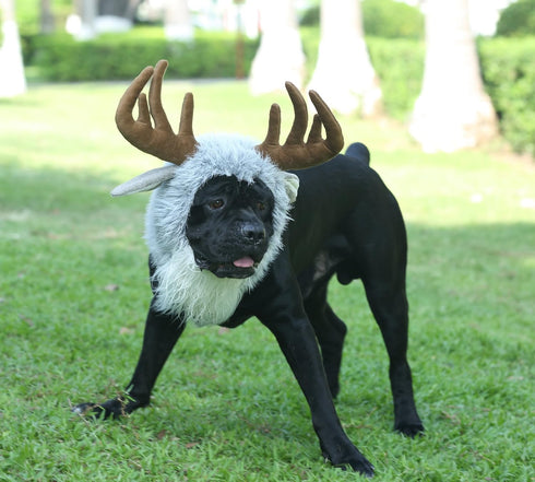 Onmygogo Funny Dog Halloween Costumes, Cute Furry Pet Wig for Halloween Christmas, Moose, Size M