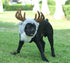 Onmygogo Funny Dog Halloween Costumes, Cute Furry Pet Wig for Halloween Christmas, Moose, Size M