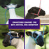 Weaver Livestock Poly Rope Sheep Halter, Modern Braid Sheep and Goat Rope Halter, Adjustable Lamb Lead