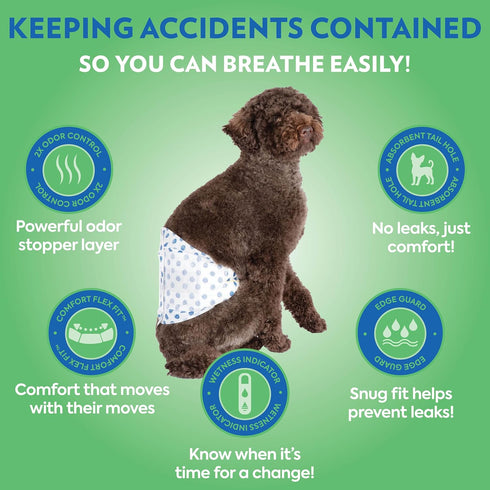 32 Count Out! PetCare Disposable Male Dog Wraps, Puppy Pee Wraps, Belly Bands for Dogs, Leak Proof, Wetness Indicator