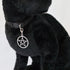 Black Cat Collar with Wiccan Pagan Pentacle, Silver Finish on Safety Breakaway Collar, Adjustable Neck Size