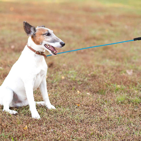 Chew Proof Dog Leash, 6FT Heavy Duty Metal Cable Leads, Chew Resistant Coated Wire Rope Leash for Large Medium Dogs