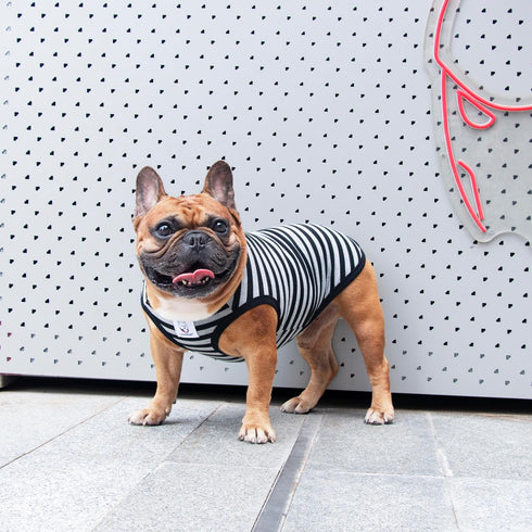 iChoue French Bulldog 100% Breathable Cotton Striped T Shirts, Summer Cooling Vest Clothes for Medium Dogs Tank Tops