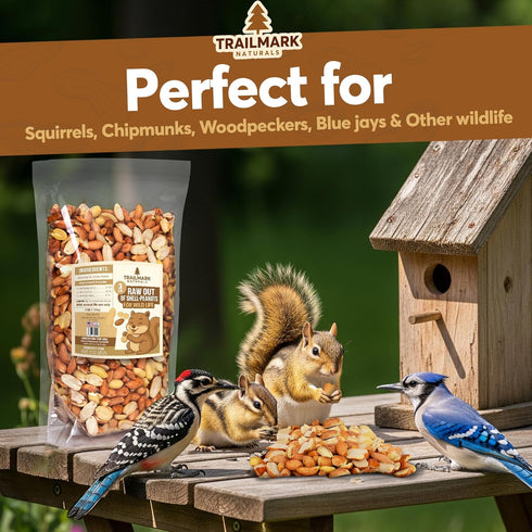 10 LB - Raw Shelled Peanuts For Squirrels, Out of Shell Peanuts For Birds and Wildlife- Squirrel Food, Wild Bird Seed