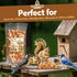 10 LB - Raw Shelled Peanuts For Squirrels, Out of Shell Peanuts For Birds and Wildlife- Squirrel Food, Wild Bird Seed