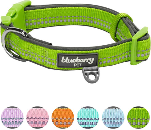 Blueberry Pet Dog Collar, Adjustable Reflective Collar for Small Dogs, Neoprene Padding, Green Flash, 12"-16"