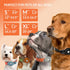 Airtag Dog Collar, CollarDirect, Reflective Dog Collar for Apple Air Tag for Large, Medium, and Small Dogs, Orange, Size L