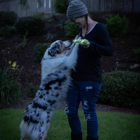 Chuckit! Max Glow Ultra Fetch Stick Outdoor Dog Toy, 12 Inches for All Breed Sizes