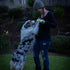 Chuckit! Max Glow Ultra Fetch Stick Outdoor Dog Toy, 12 Inches for All Breed Sizes