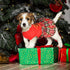 Dog Christmas Outfit, Dresses for Medium Dogs, XXS Puppy Clothes, Holiday Pet Dress, Red, XXS Doggie Costume