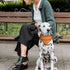 POPETPOP 2pcs Pet Triangle Towel Bibs, Orange Reflector Vest for Night Walking, Small Dog Safety