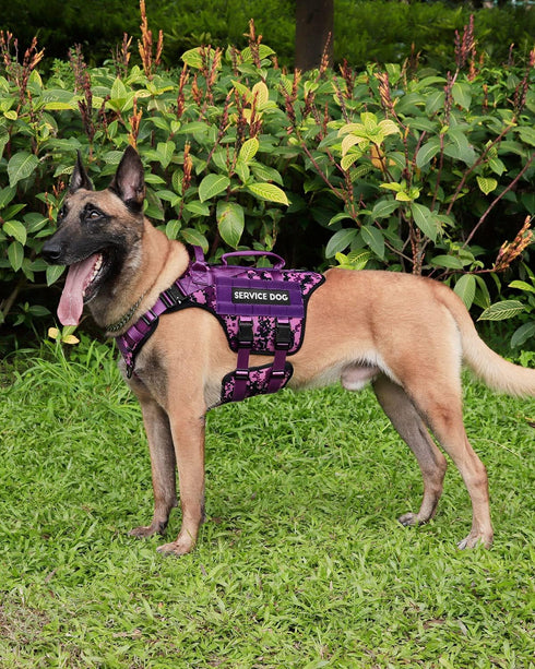 Tactical Dog Harness - PETNANNY Service Dog Vest for Large Breed, MOLLE Work Dog Vest with Handle (Purple Camo, L)
