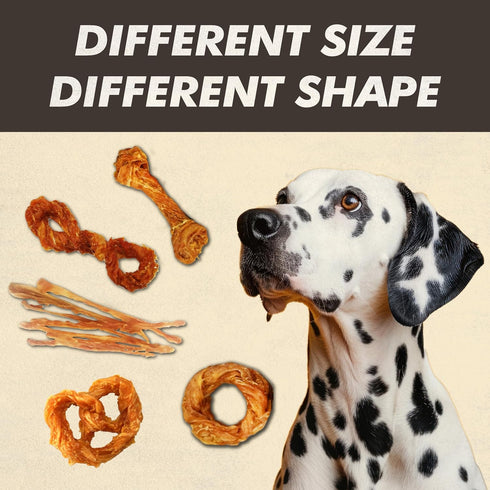 Afreschi Turkey Tendon for Dogs: All Natural Human Grade Puppy Chew, 2 Units/Pack (Medium)
