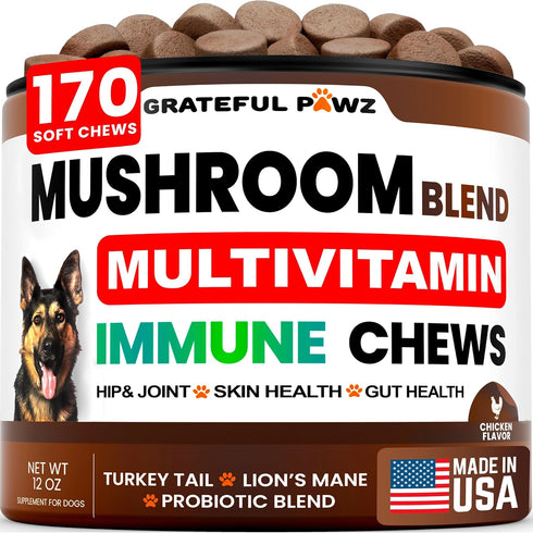Turkey Tail Mushroom Supplement for Dogs - 170 Chews - Mushrooms for