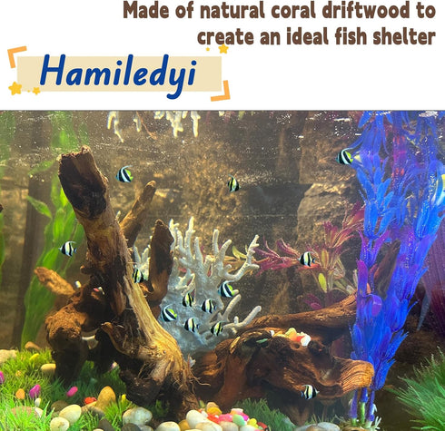 Hamiledyi Natural Coral Driftwood, Assorted Branches for Fish Tank Decor, 5 Pcs (3.5-7in) for Reptile Tanks
