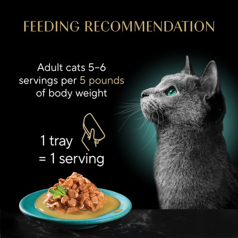 Pack, 2.6 oz. Twin-Pack (12 Count, 24 (Pack 2) Sheba Gravy Indulgence Adult Wet Cat Food Beef and Chicken Entree