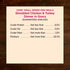 Wellness CORE Natural Grain Free Mini Meals Wet Dog Food, Shredded Chicken & Turkey Dinner in Gravy, 3-Ounce Pouch
