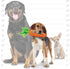 TUFFY - World's Tuffest Soft Dog Toy - Funny Food- Squeaker -Multiple Layers. Made Durable, Strong & Tough. Interactive