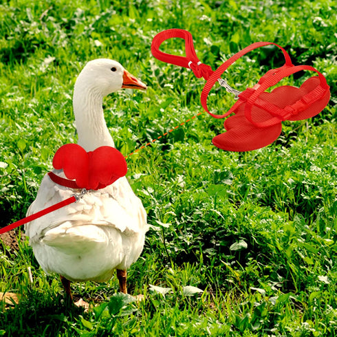 Duck Walking Harness and Leash, Adjustable Rope for Chicken Duck Outdoor Training, Pet Poultry Hen Cock (S, Red)
