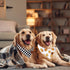 2Pcs One Happy Dude Dog Bandana, Boho Smile Face Checkerboard Print Fabric Pet Scarf, Adjustable Neckerchief