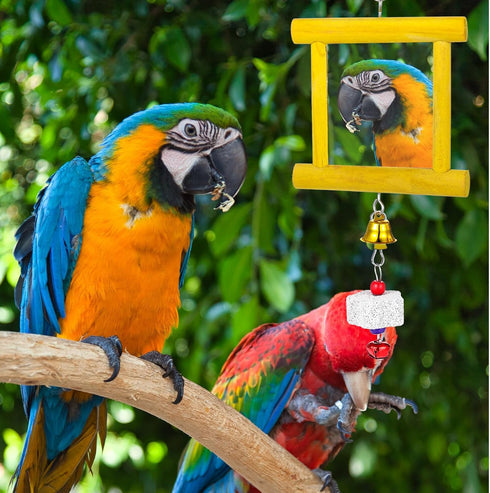 Lnngub 1pc 2pcs Chicken Toys - Hanging Bell Parrot Chicken Swing Mirror + Beak Grinding Stones for Enrichment, Perfect