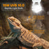 Lucky HERP UVA UVB Reptile Light 10.0, 15W Desert UVB 150 Compact Fluorescent Lamp for Reptiles