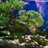 11.41 10.23 2.75 Inches, BESPORTBLE Bonsai Tree for Aquarium, Resin Fish Tank Landscape Decoration, Simulated Green